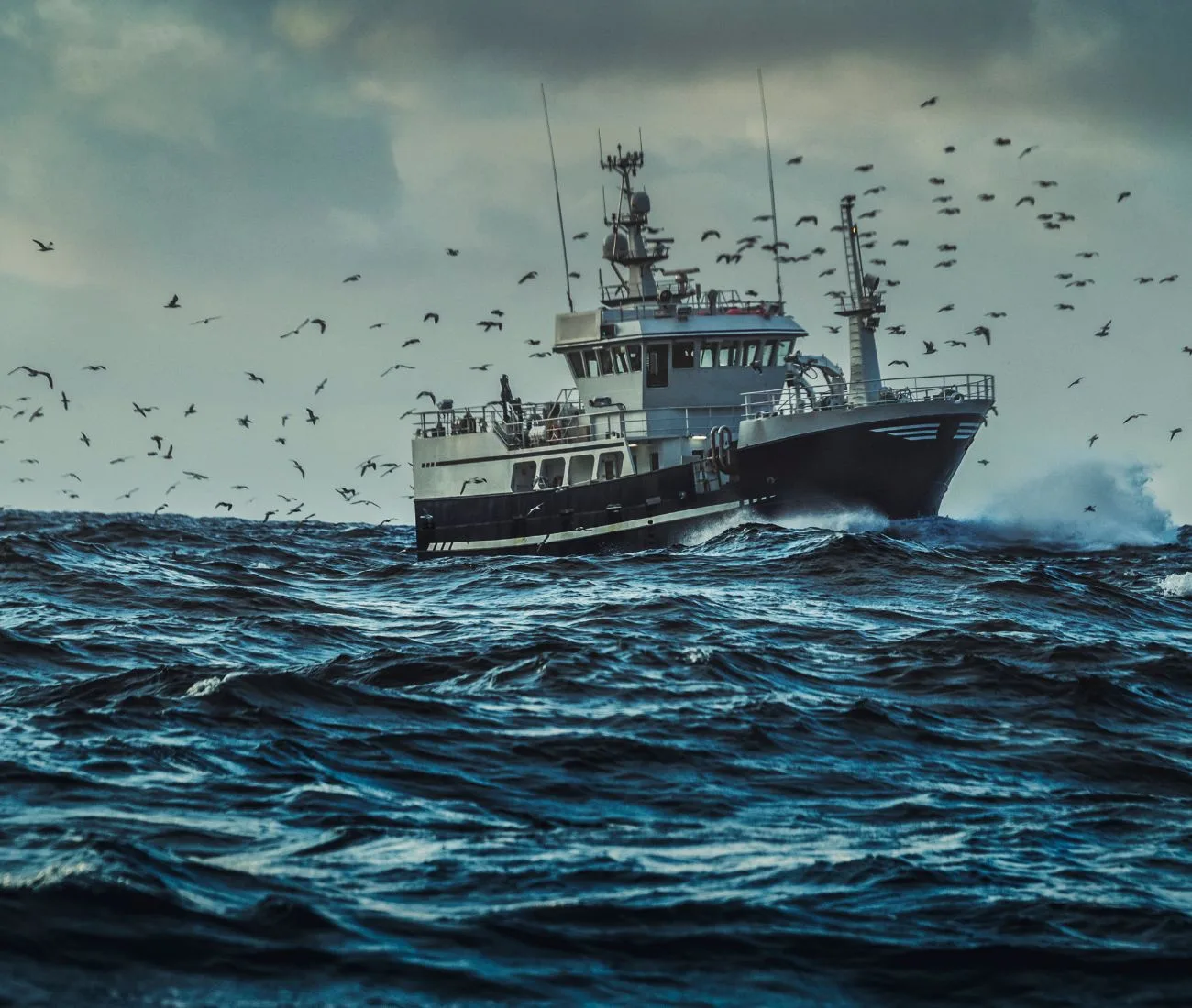 Diesel engines for fishing boats enable to navigate in extreme conditions