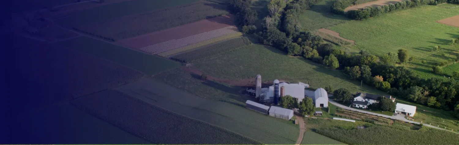 Frost Protection by New Way | Baudouin Case Study