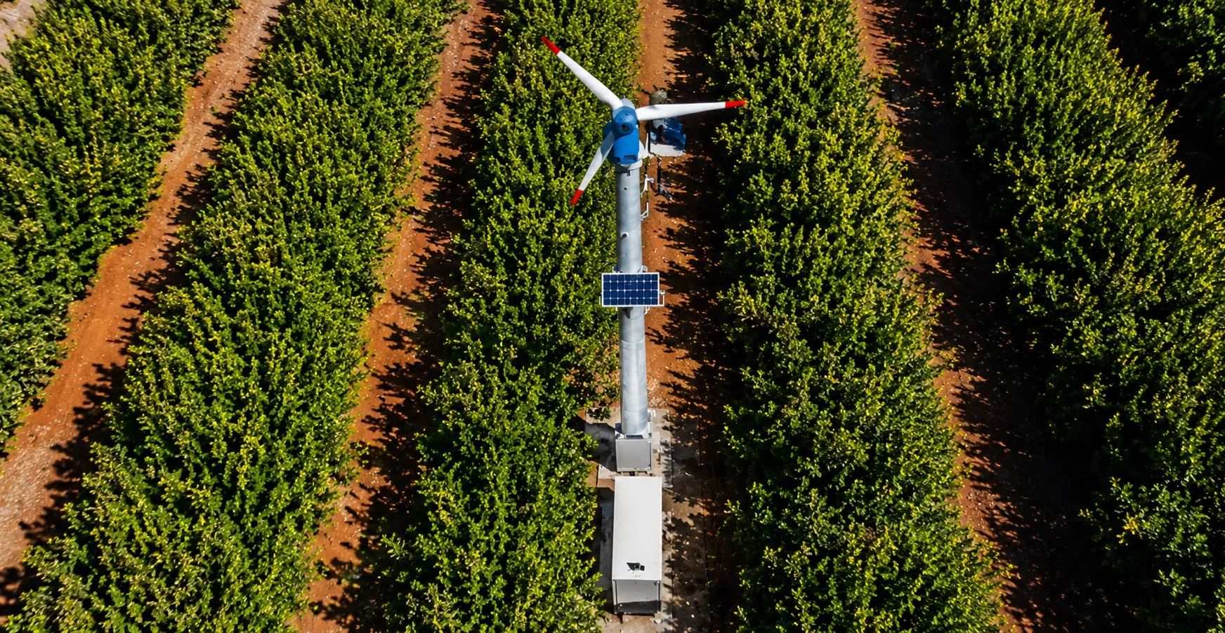 Frost Protection by New Way | Baudouin Case Study