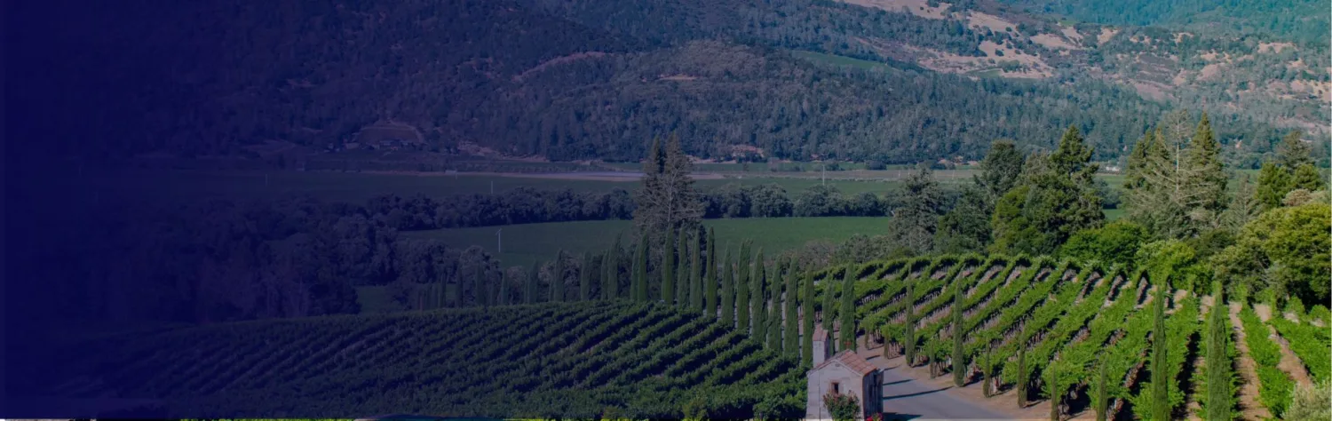Prosecco Winery by Visa | Baudouin Case Study