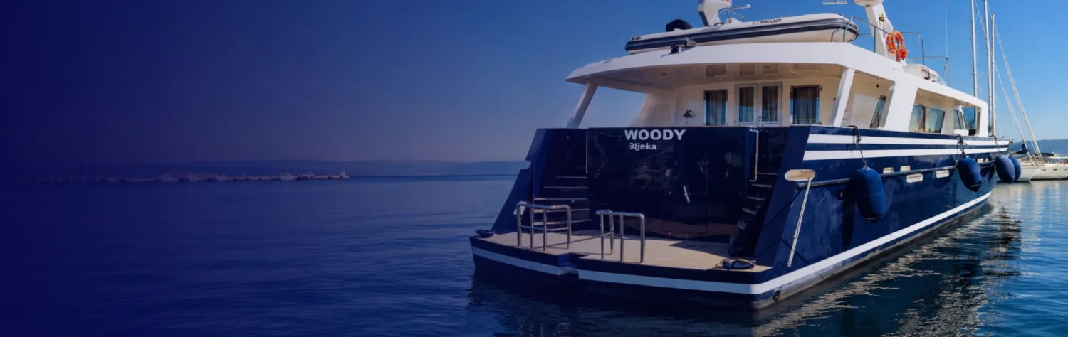 Woody Pleasure Boat | Baudouin Case Study